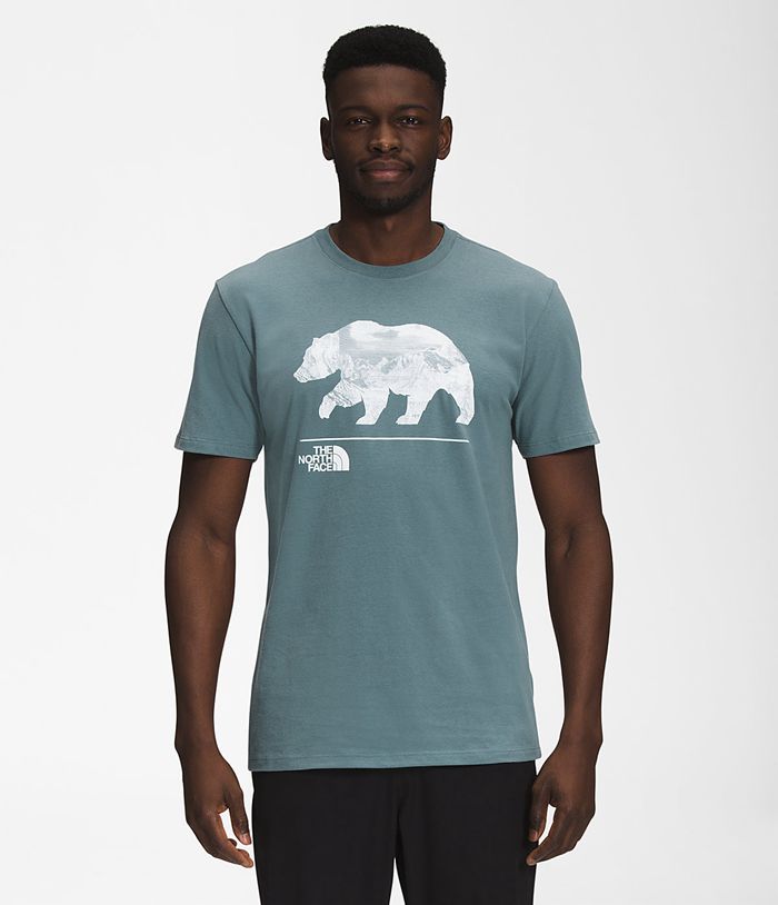 The North Face T Shirts Męska Niebieska Bearscape Krótki Rękaw - IUDG86502